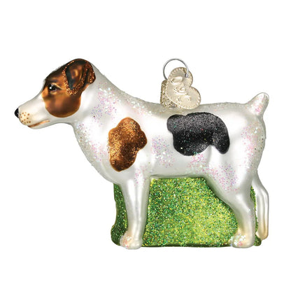 Jack Russell Terrier Ornament Old World Christmas