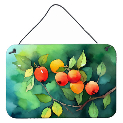 Missouri Hawthorns in Watercolor Wall or Door Hanging Prints Caroline's Treasures