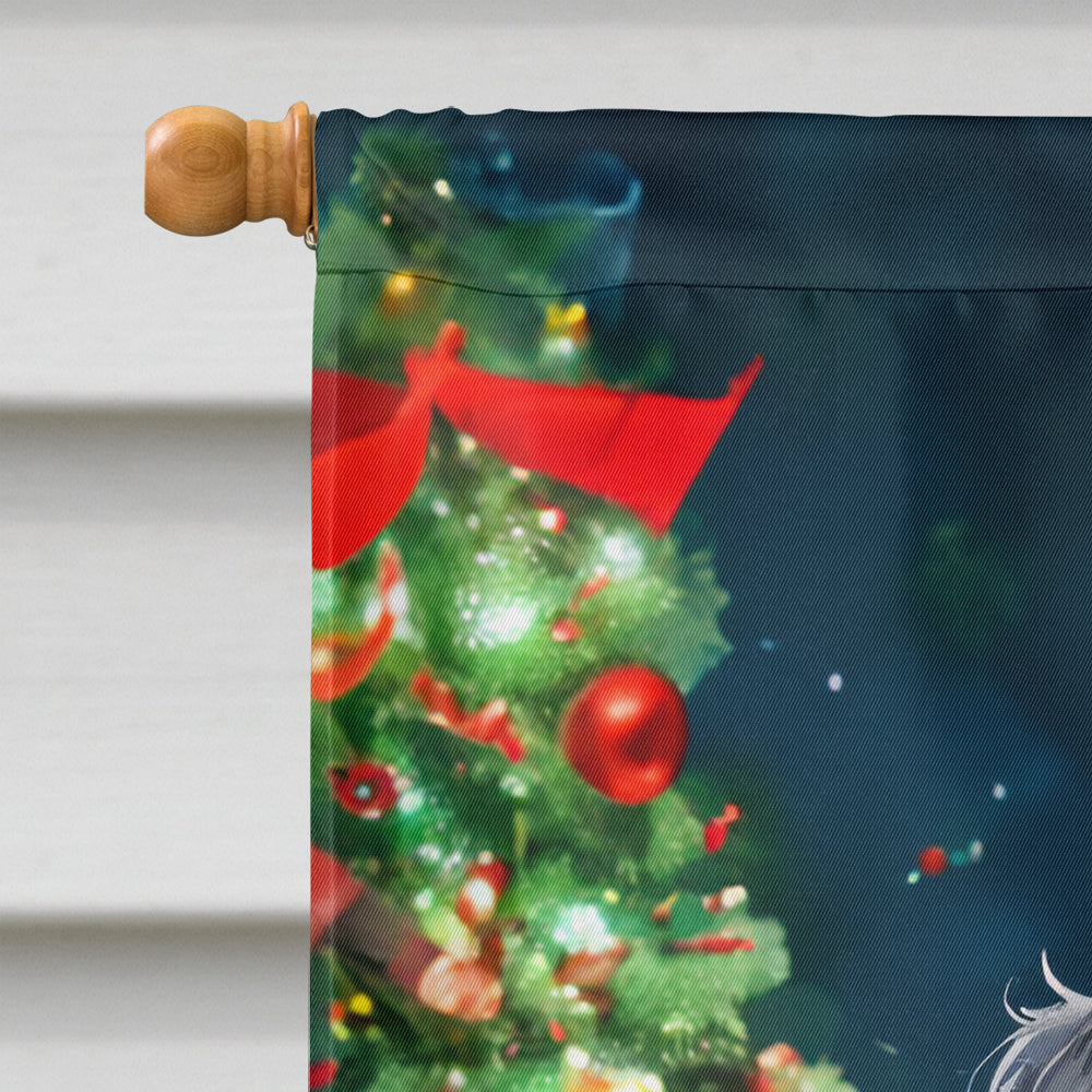 Affenpinscher Christmas House Flag Caroline's Treasures