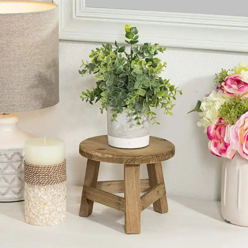 Wooden Mini Plant Stand Display - Multifunctional Home Decor Stool OBA